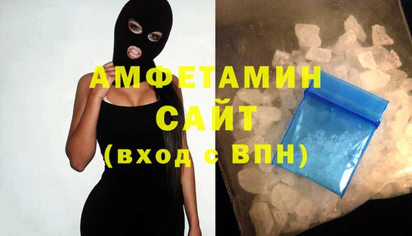 дживик Ельня