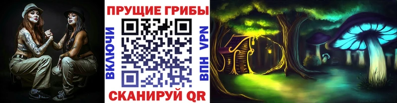 купить  сайты  Пущино  Галлюциногенные грибы MAGIC MUSHROOMS 